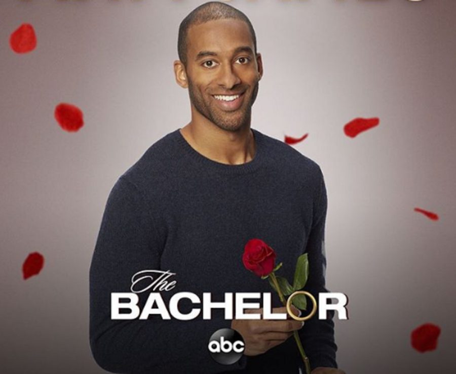 The Bachelor becomes a teaching point for avid watchers